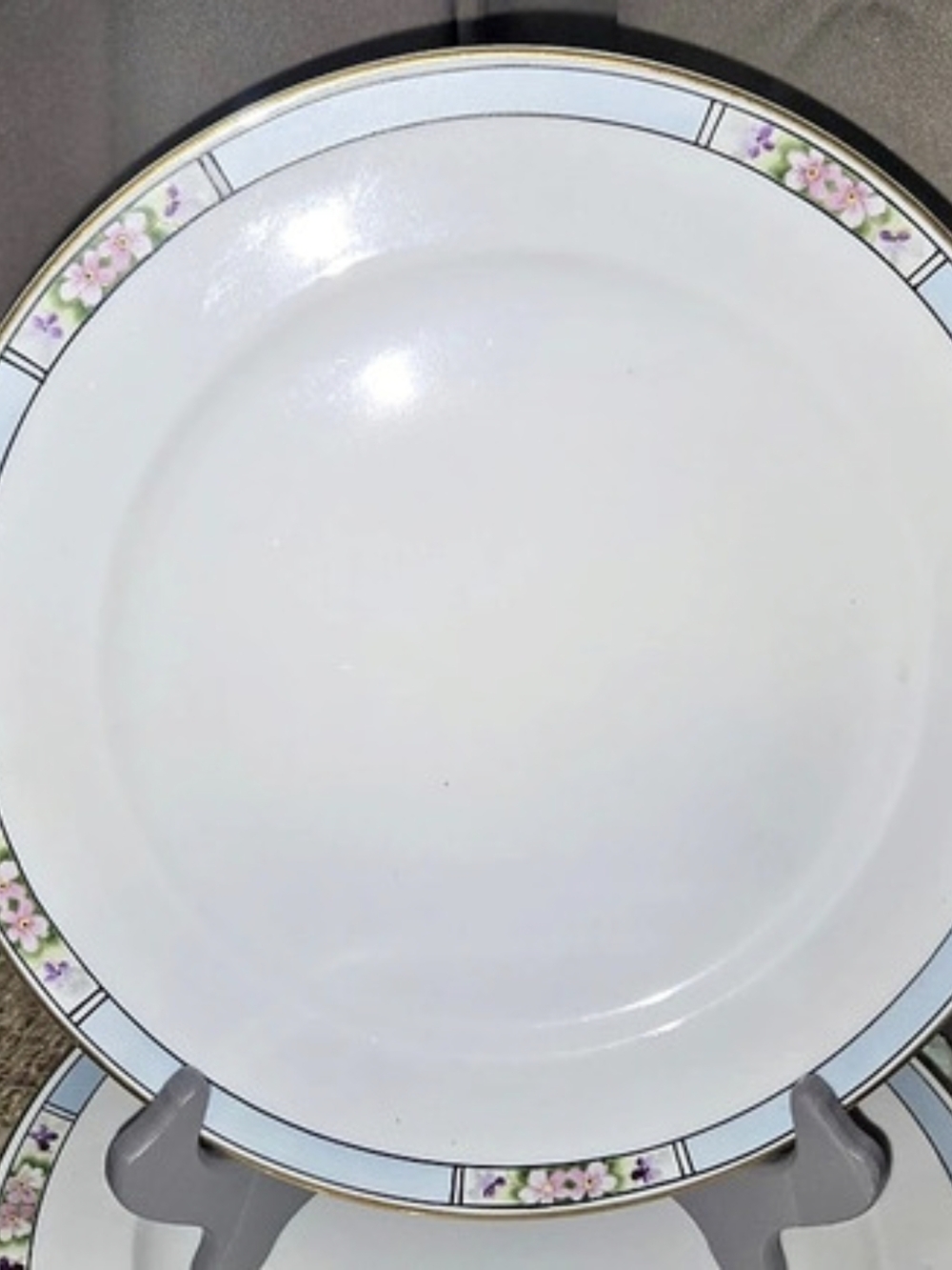 Nippon Hand Painted Floral Dinnerware Set White & Blue. 3 Plates